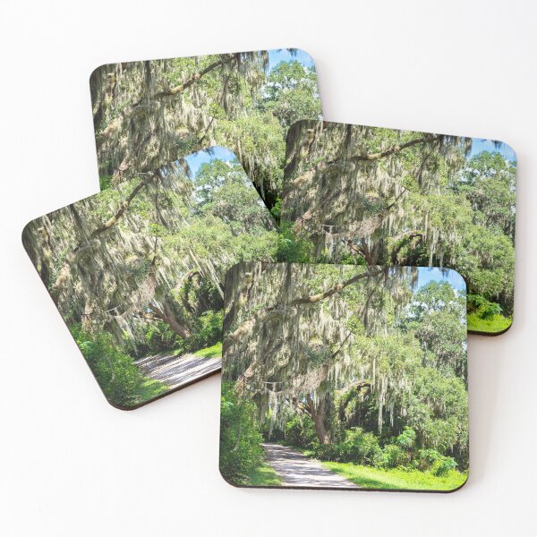 Item preview, Savannah's Twisted Roads  designed and sold by GEM-Photo.