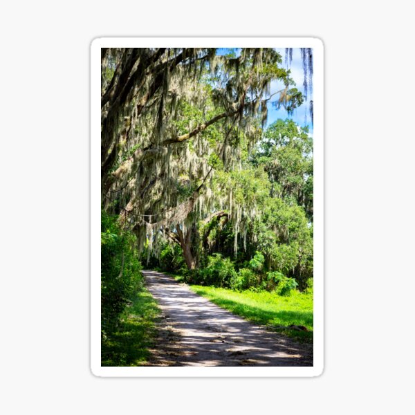 Item preview, Savannah's Twisted Roads  designed and sold by GEM-Photo.