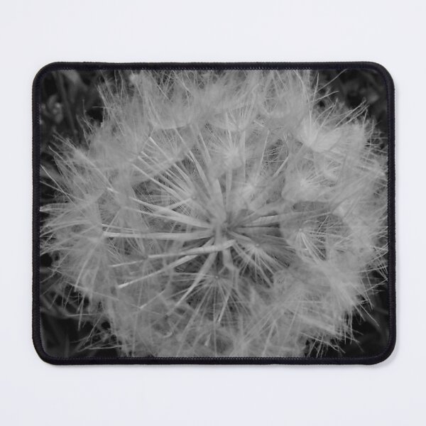 Item preview, Dandelion Seed Head in Black and White designed and sold by Scott and Mary Schneider art_photography.