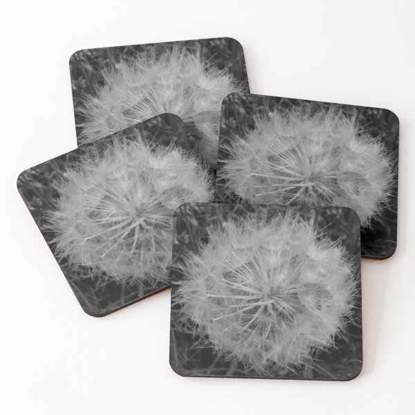 Item preview, Dandelion Seed Head in Black and White designed and sold by Scott and Mary Schneider art_photography.