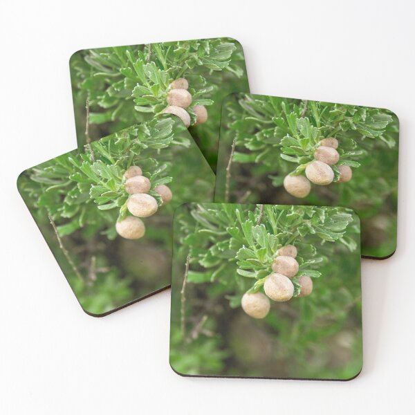Item preview, Sagebrush designed and sold by TinyDinoDesigns.