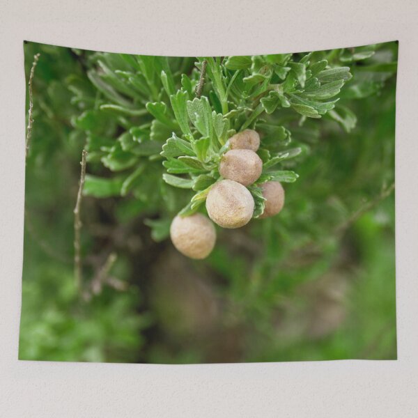 Item preview, Sagebrush designed and sold by TinyDinoDesigns.