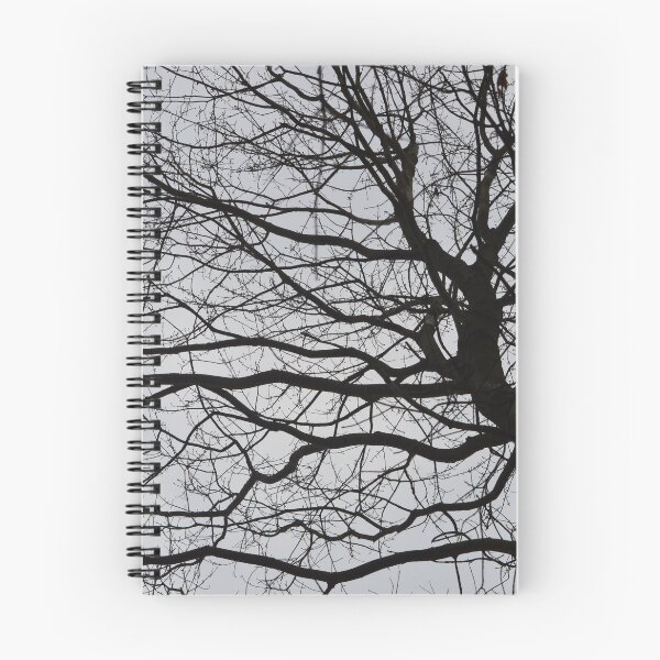 Item preview, A big tree, sprawling in the gray sky. designed and sold by Shyenne  Moran.
