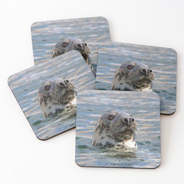 Item preview, Grey Seal designed and sold by Tom McPherson Photography.