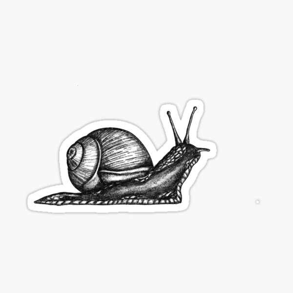 Snail Sticker