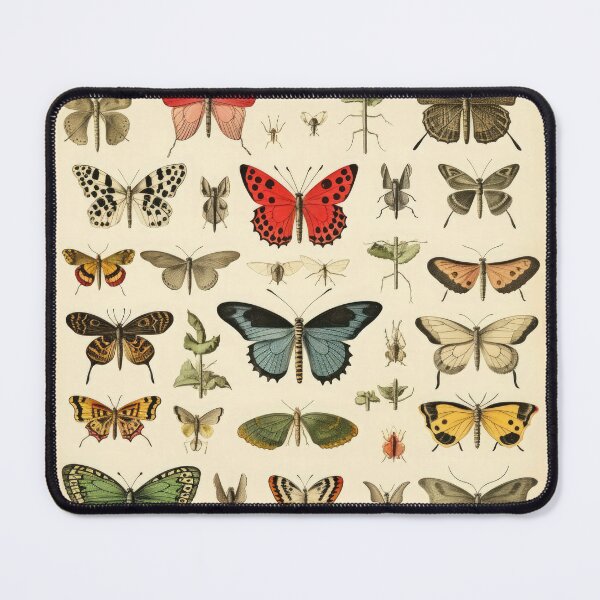 Item preview, A Chart of Butterflies and Other Insects designed and sold by laughingdesign.