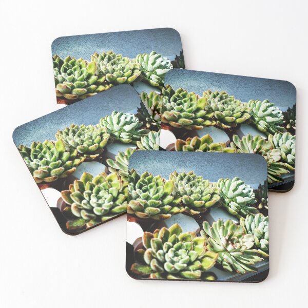 Item preview, Succulents For Sale, Foz do Douro, Porto, Portugal designed and sold by Douglas E. Welch Design and Photography.