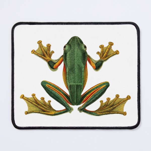 Item preview, Vintage Frog Illustration designed and sold by StrangeCritters.