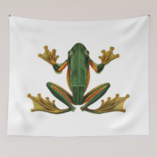 Item preview, Vintage Frog Illustration designed and sold by StrangeCritters.