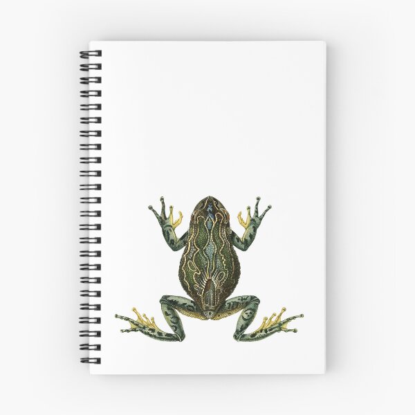 Item preview, Vintage Frog Illustration designed and sold by StrangeCritters.