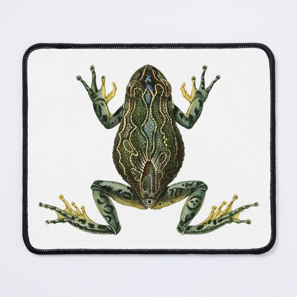 Item preview, Vintage Frog Illustration designed and sold by StrangeCritters.