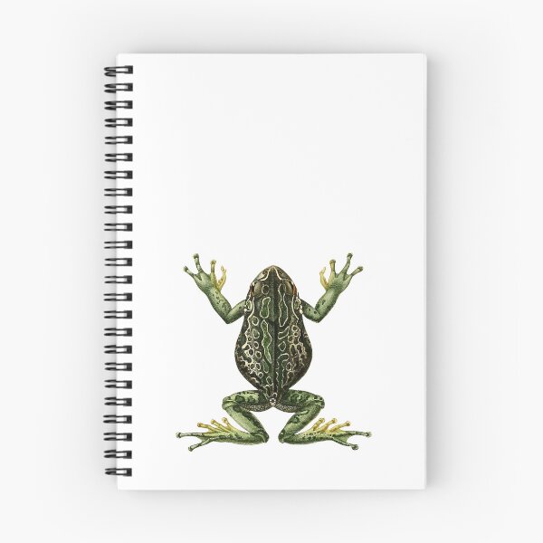 Item preview, Vintage Frog Illustration designed and sold by StrangeCritters.