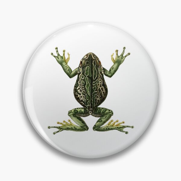 Item preview, Vintage Frog Illustration designed and sold by StrangeCritters.