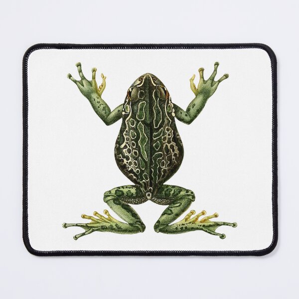 Item preview, Vintage Frog Illustration designed and sold by StrangeCritters.