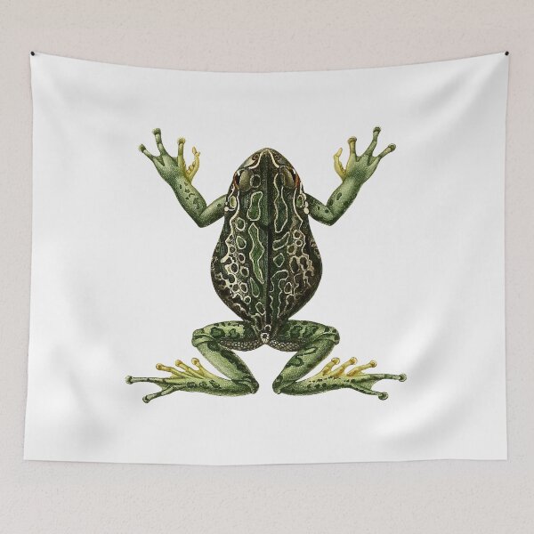 Item preview, Vintage Frog Illustration designed and sold by StrangeCritters.