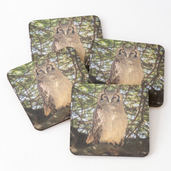 Item preview, Verreaux Eagle Owl Tanzania Africa designed and sold by PhotoArt by Joan Carroll.