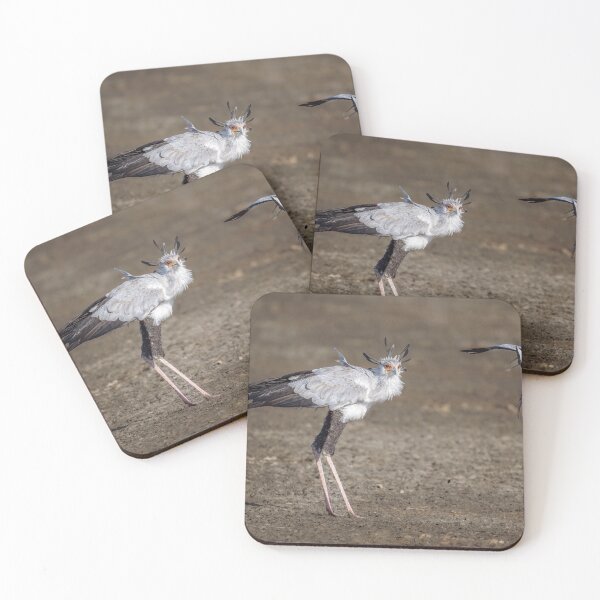 Item preview, Secretarybird Being Dive-Bombed Tanzania Africa designed and sold by PhotoArt by Joan Carroll.