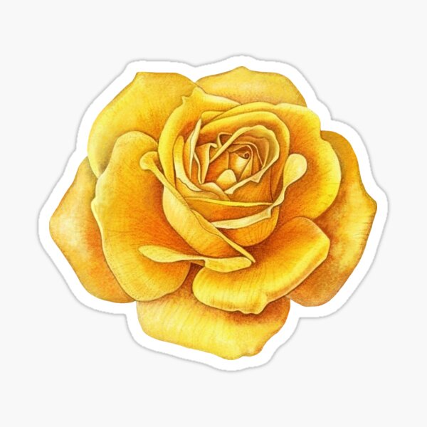Artikel-Vorschau von Aquarell gelbe Rosenblume, designt und verkauft von Sybirko.