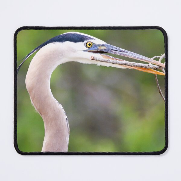 Item preview, A Serious Frame of Mind designed and sold by Michiale.