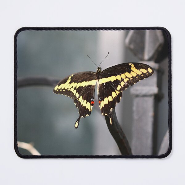 Item preview, Daring Dreams  designed and sold by Michiale.