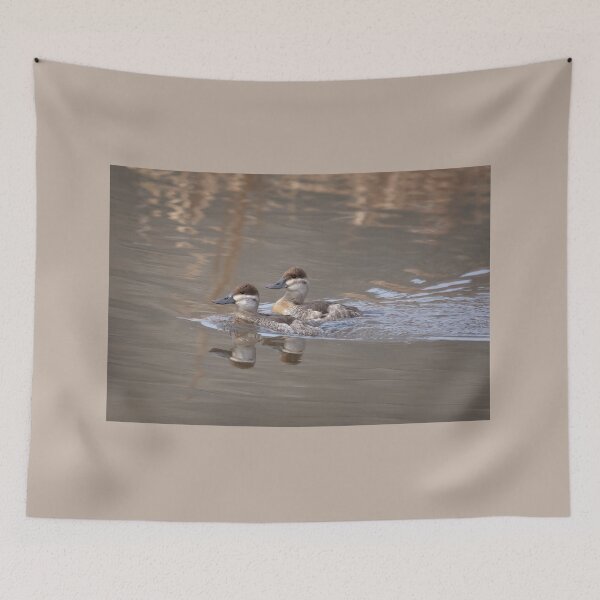 Item preview, Ruddy Ducks designed and sold by CarolM.