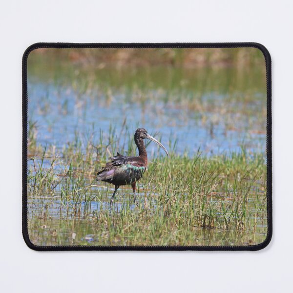 Item preview, Introspective Ibis  designed and sold by Michiale.