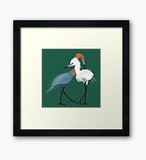 Reddish Egret Framed Print