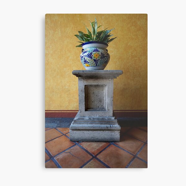 Tequila Metal Print