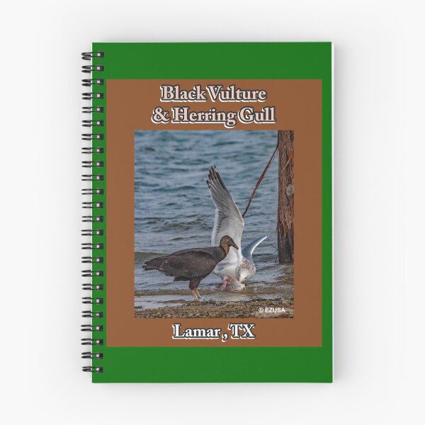 Item preview, Give Someone You Love The Bird: Black Vulture & Herring Gull Share Sushi Shoreside designed and sold by MoreEZUSA-Here.