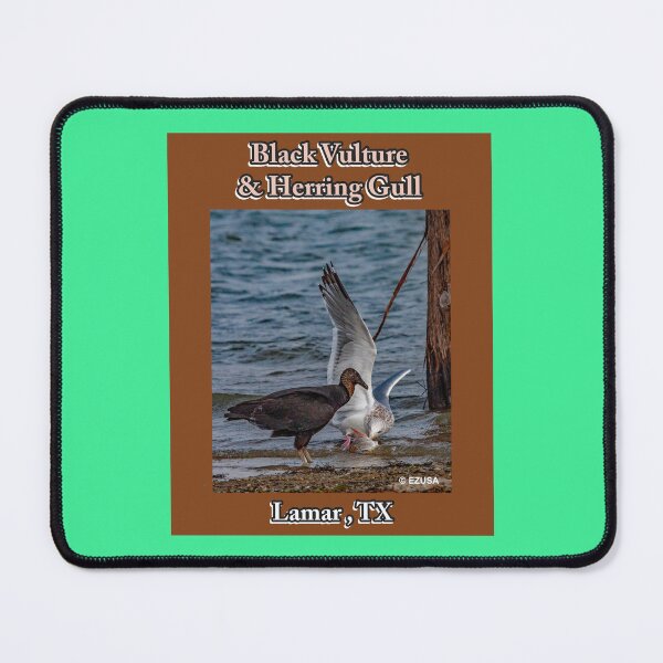 Item preview, Give Someone You Love The Bird: Black Vulture & Herring Gull Share Sushi Shoreside designed and sold by MoreEZUSA-Here.