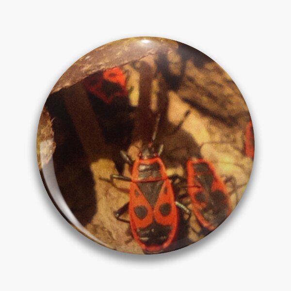 Item preview, Firebug designed and sold by goorolsky.