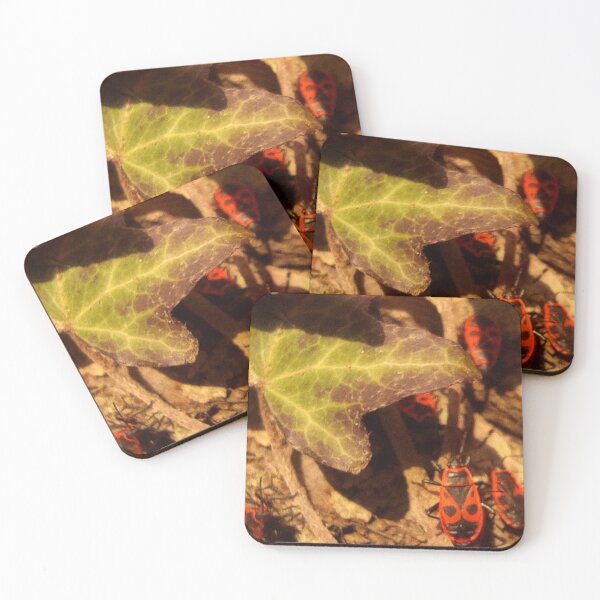 Item preview, Firebug designed and sold by goorolsky.