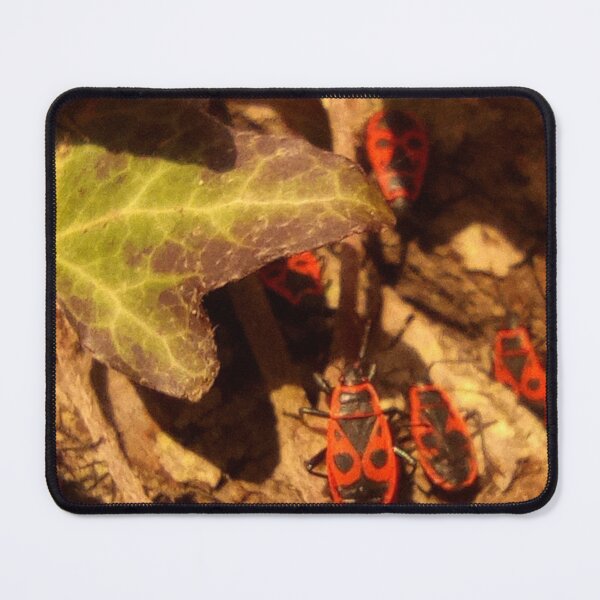Item preview, Firebug designed and sold by goorolsky.