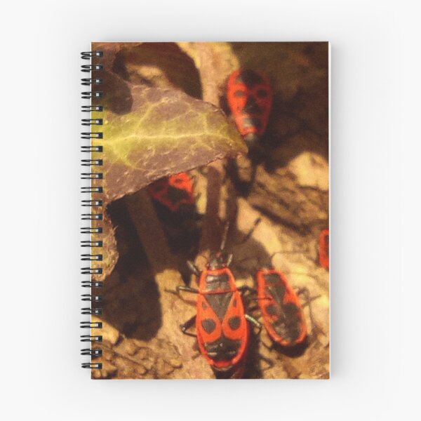 Item preview, Firebug designed and sold by goorolsky.