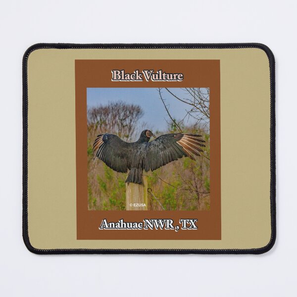 Item preview, For The Bird Lover In You: Black Vulture Copping Early Morning Rays Of Sunshine At Anahuac NWR, Texas designed and sold by MoreEZUSA-Here.