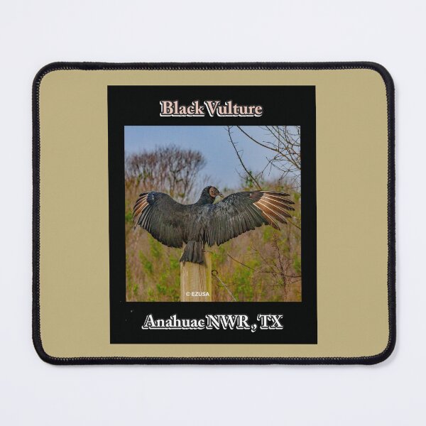 Item preview, Give The Bird To Your Lover: Black Vulture Copping Early Morning Rays Of Sunshine At Anahuac NWR, Texas designed and sold by MoreEZUSA-Here.