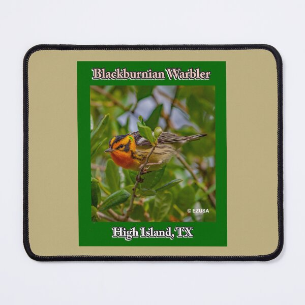 Item preview, Give Someone You Love The Bird: Blackburnian Warbler At High Island, Texas designed and sold by MoreEZUSA-Here.