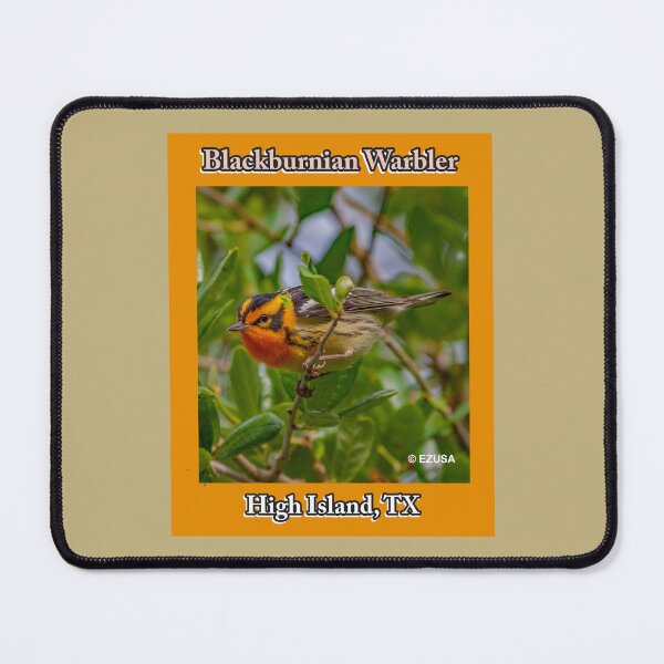 Item preview, The Perfect Gift For A Bird Lover: Blackburnian Warbler At High Island, Texas designed and sold by MoreEZUSA-Here.