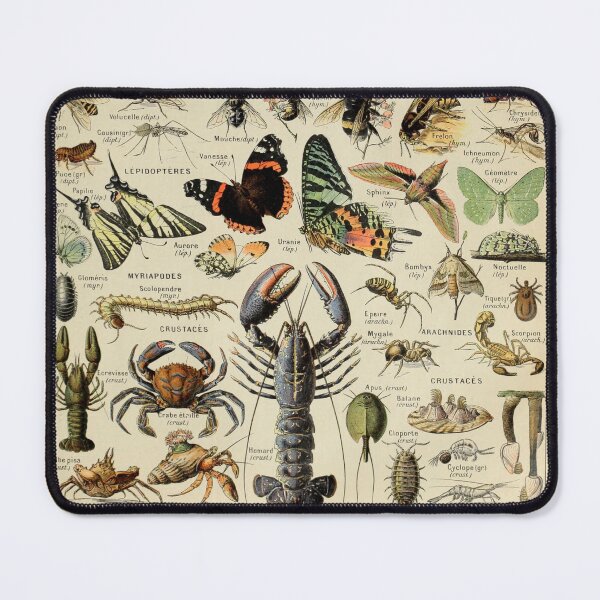 Item preview, Arthropodes Pour Tous designed and sold by isalovesherdogs.