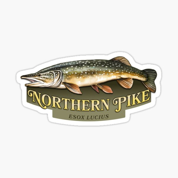 Saskatchewan Pike Fishing Sticker for Sale by curranmorgan