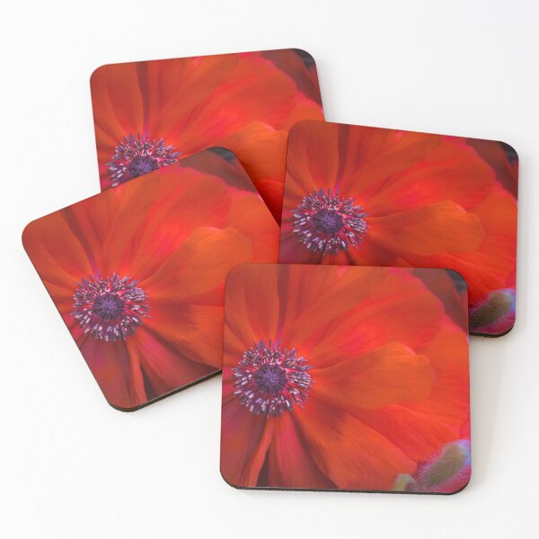 Item preview, Brilliant Red Spring Poppy designed and sold by Jim Love.
