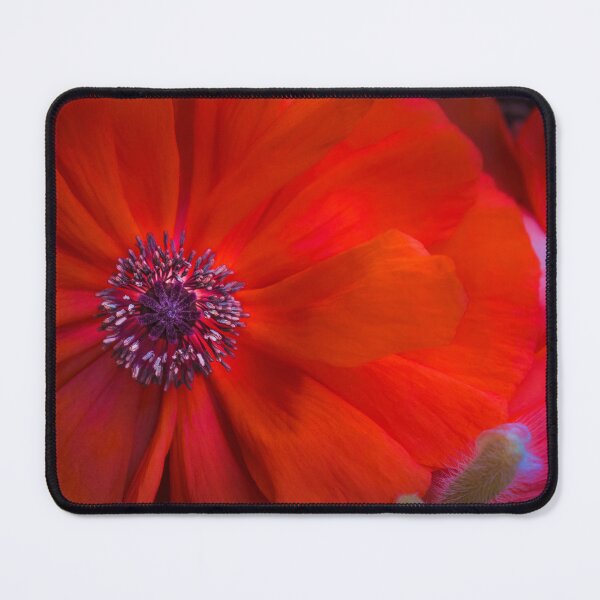 Item preview, Brilliant Red Spring Poppy designed and sold by Jim Love.