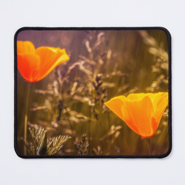 Item preview, Poppies Glowing In The Sun designed and sold by Jim Love.