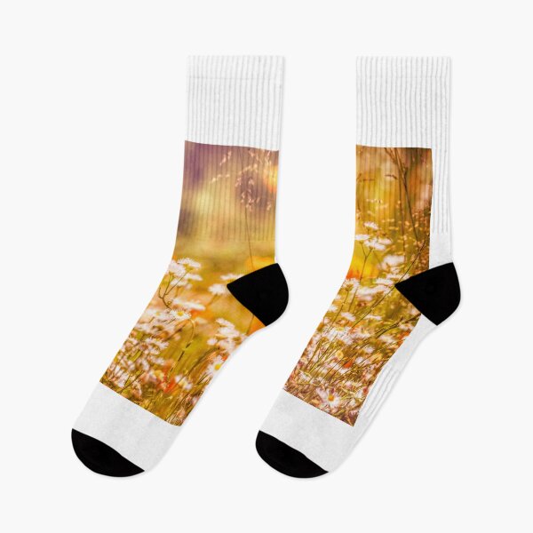 Item preview, Daisies Dancing In The Sun designed and sold by Jim Love.