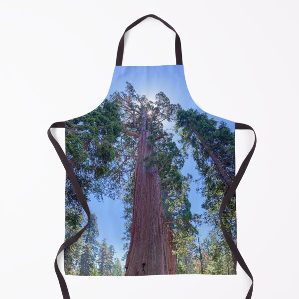 Item preview, Looking Up at Giant Redwood Sequoia Trees designed and sold by SafariByMarisa.