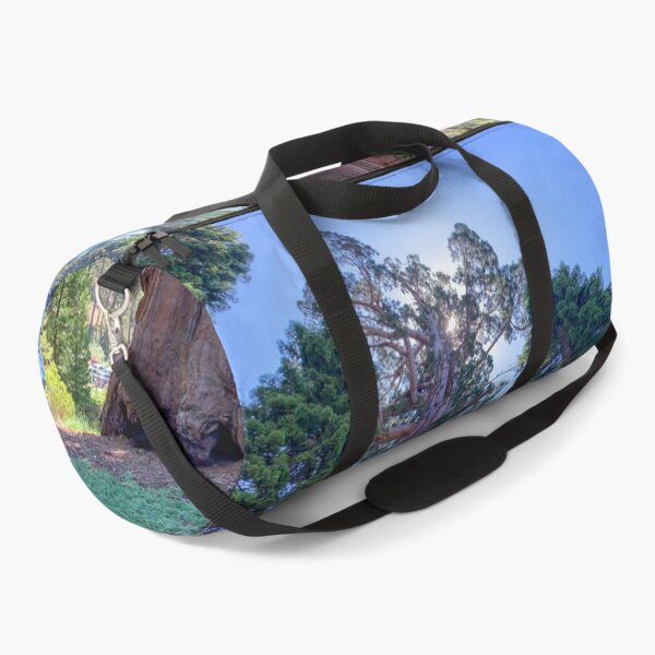 Item preview, Looking Up at Giant Redwood Sequoia Trees designed and sold by SafariByMarisa.