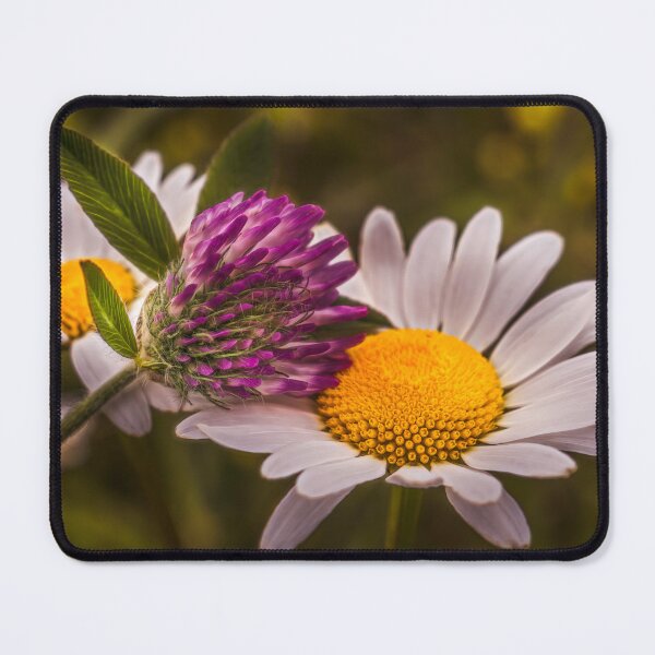 Item preview, Spring Daisy Spring Clover 2 designed and sold by Jim Love.
