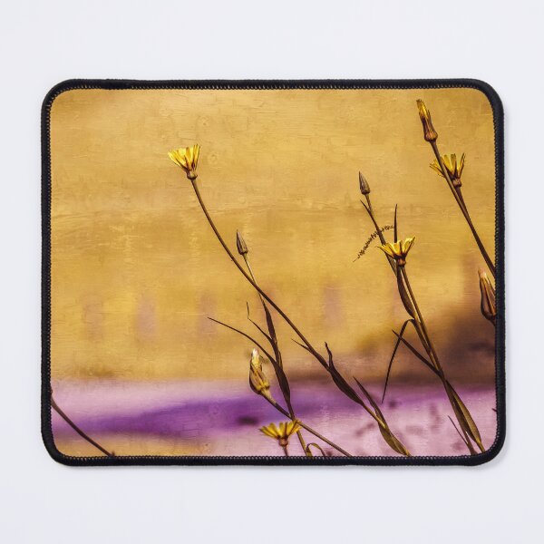 Item preview, Long Lean Spring Beauties designed and sold by Jim Love.
