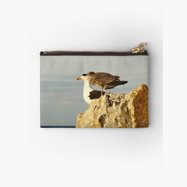 Item preview, pacific gulls, bicheno. eastcoast, tasmania designed and sold by bodhiimages.