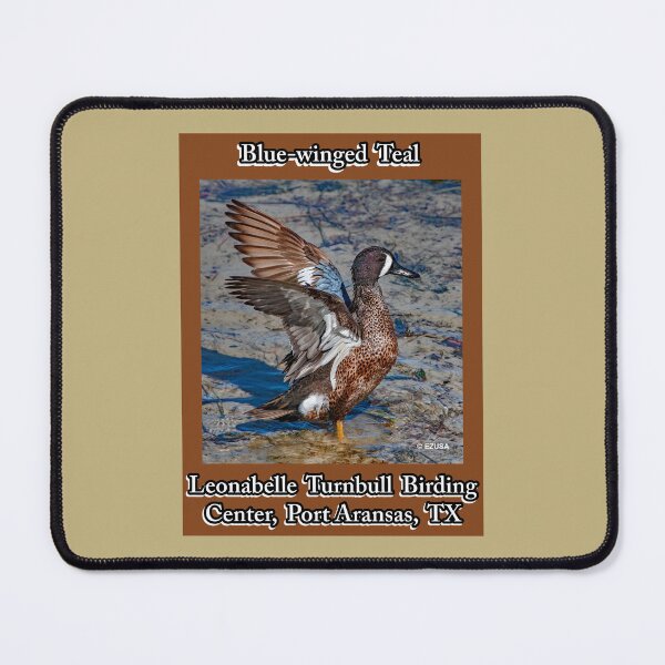 Item preview, For The Bird Lover In You: Blue-winged Teal ~Leonabelle Turnbull Birding Center, Port Aransas, Texas designed and sold by MoreEZUSA-Here.